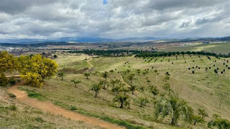 Hay fever sufferers warned Canberra could have 'earlier and .